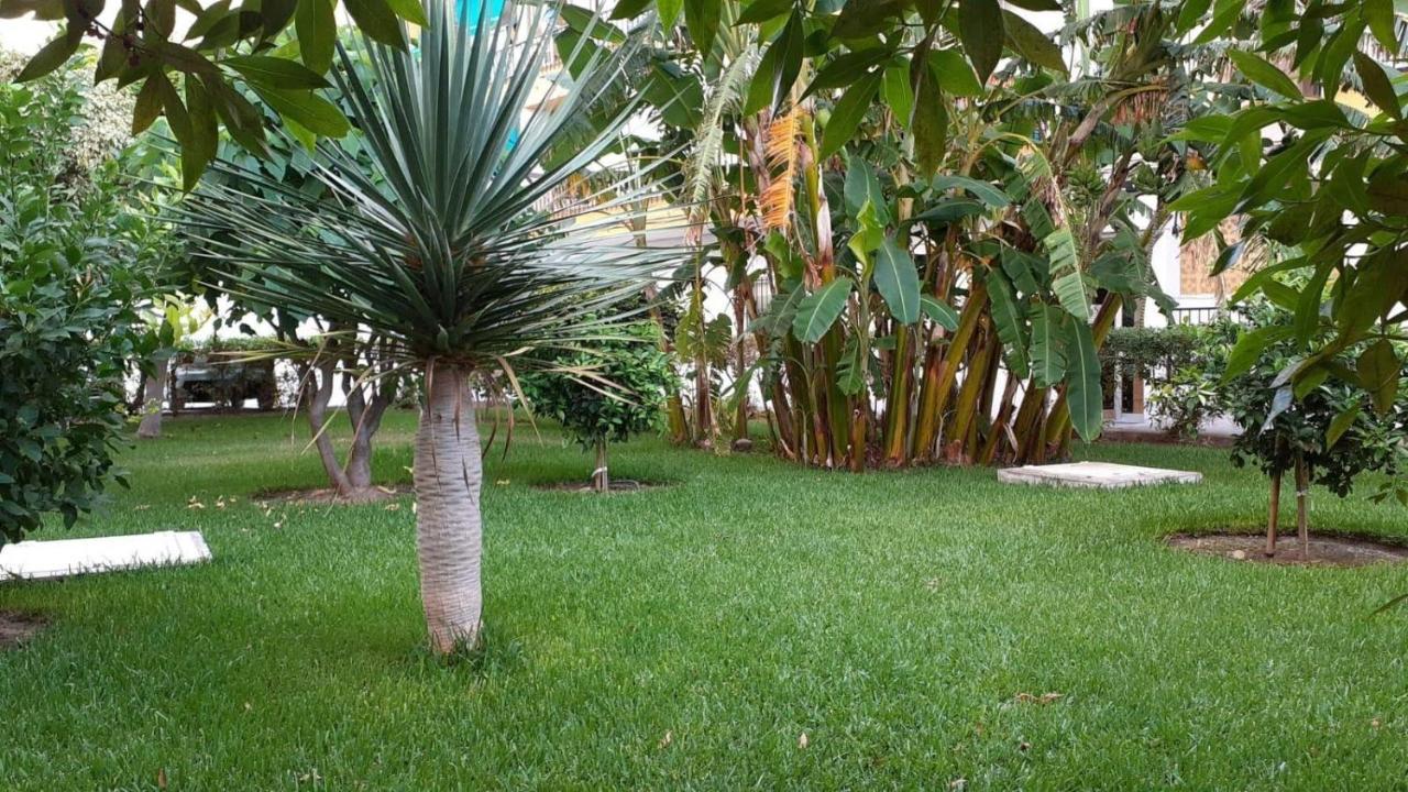 נרחה Rincon Mediterraneo מראה חיצוני תמונה